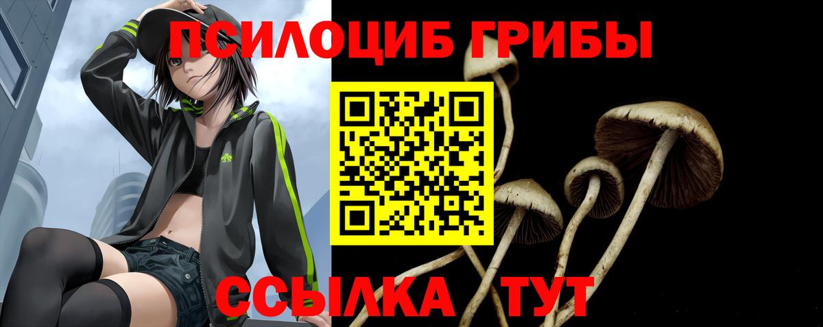 Галлюциногенные грибы мухоморы  Вход с VPN  Псилоцибиновые грибы Psilocybine cubensis  Саров 