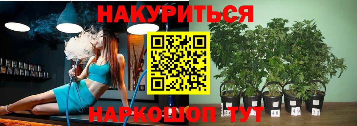 Бошки Шишки VHQ  МАРИХУАНА Ganja  Саров  Вход с VPN 